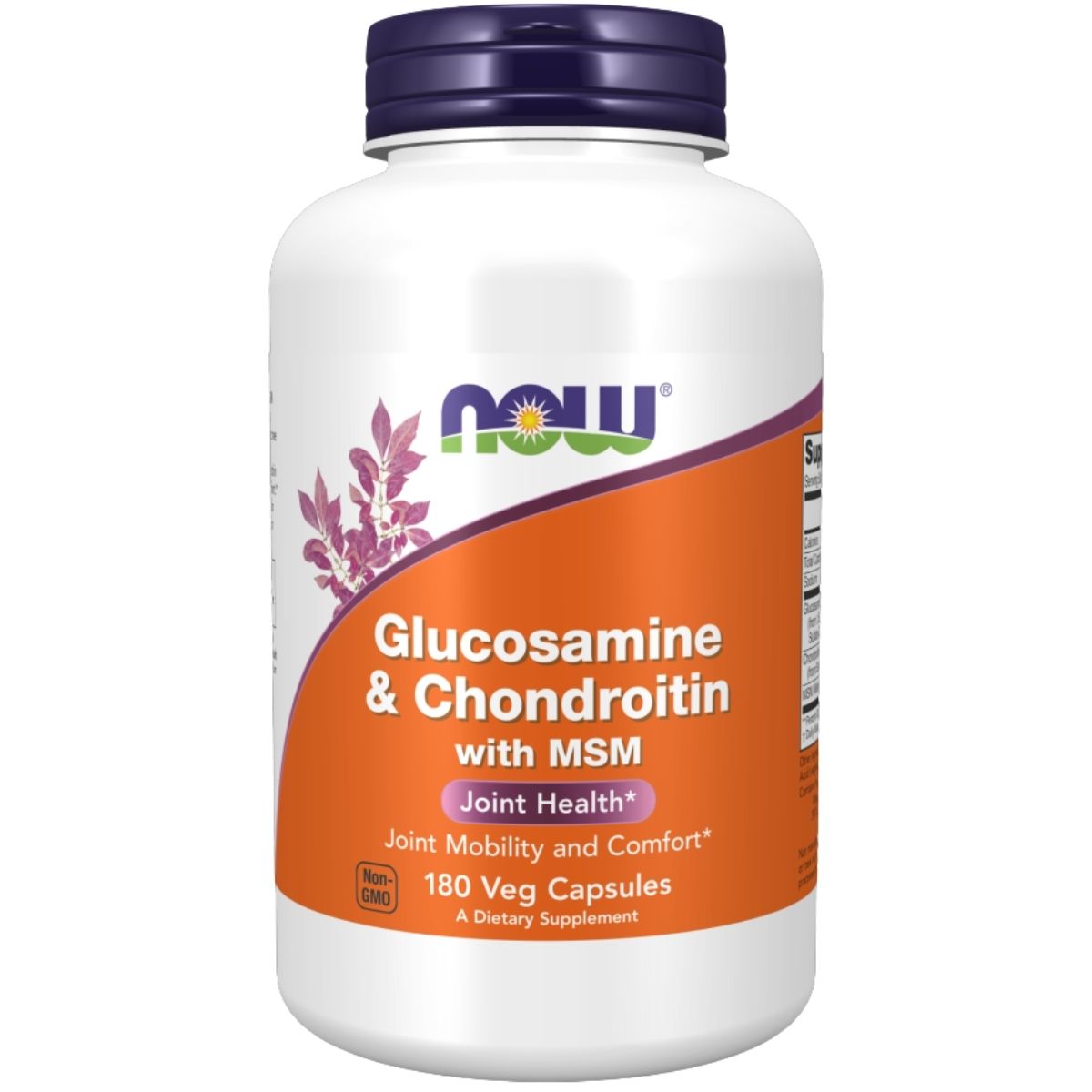 Glucosamine Chondroitin plus MSM